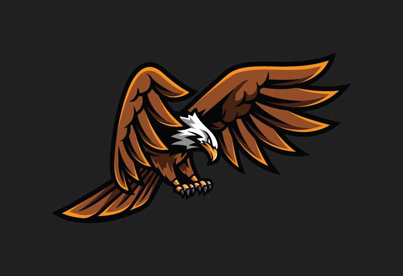 Coe Eagle on Dark Background